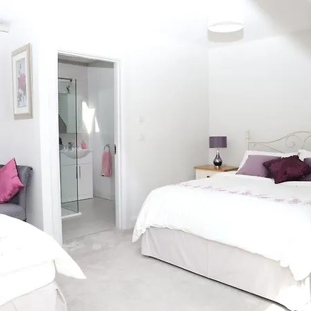 ベッド・アンド・ブレックファスト Willoughby House Shanagarry